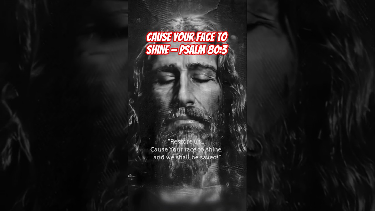 Лицо Иисуса: смотри и живи