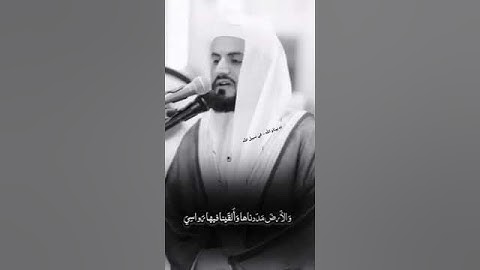 #شيخ_رعد_محمد_الكردي حالات واتس اب دينيه #القرآن_الكريم #تلاوات_قرآنيه #رعد_الكردي 🎧🌸🩶💟