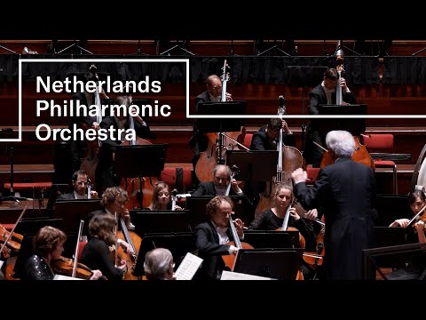 Brahms - Symphony No. 1 | Netherlands Philharmonic Orchestra | Hartmut Haenchen | Concertgebouw