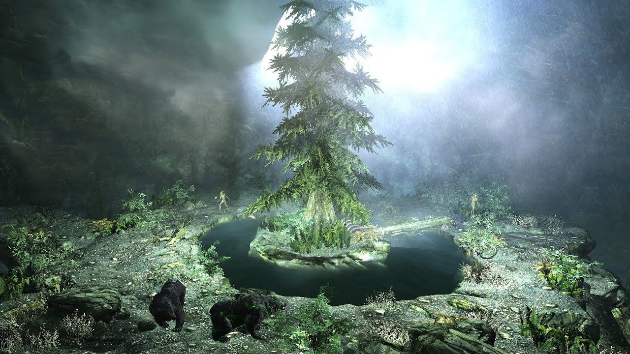 The Elder Scrolls V: Skyrim, Out of Shadowgreen Cavern Glitch - YouTube.