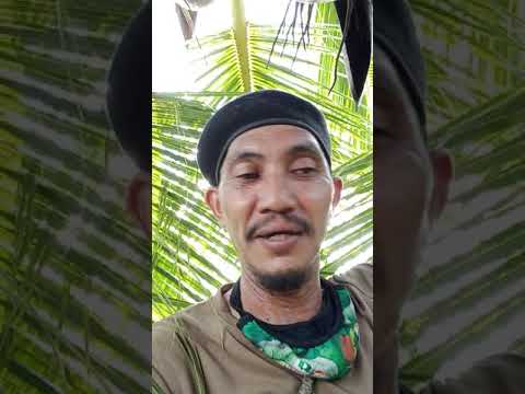 kampong tebat pekan