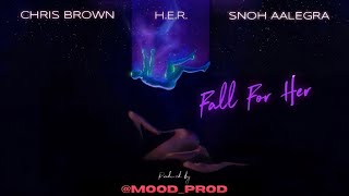 Chris Brown - Fall For Her (Visualizer) ft. H.E.R. \& Snoh Aalegra (Produced by Mood Prod)