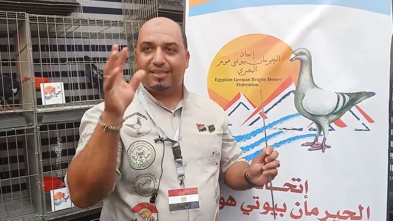مواصفات الحمام ، بيوتي هومر ،لقاء المحكم الدولي كابتن احمد عادل ابو هديل،حصري#غاوي_البسطاء