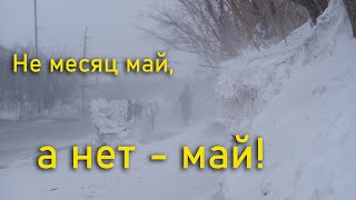 Не месяц май, а нет - май! Воркута