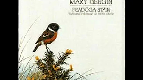 MARY BERGIN Tom Billy's The Langstern Pony