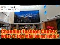 Chandler Fashion Center: What Is This Mall Doing Right? | Retail Archaeology