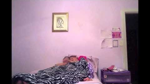 The Lazy Song *Stop Motion*