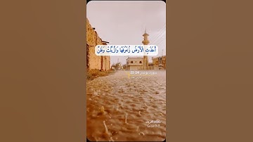 سورة يونس الآية 24-25