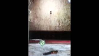 Host boot 3rd map villa