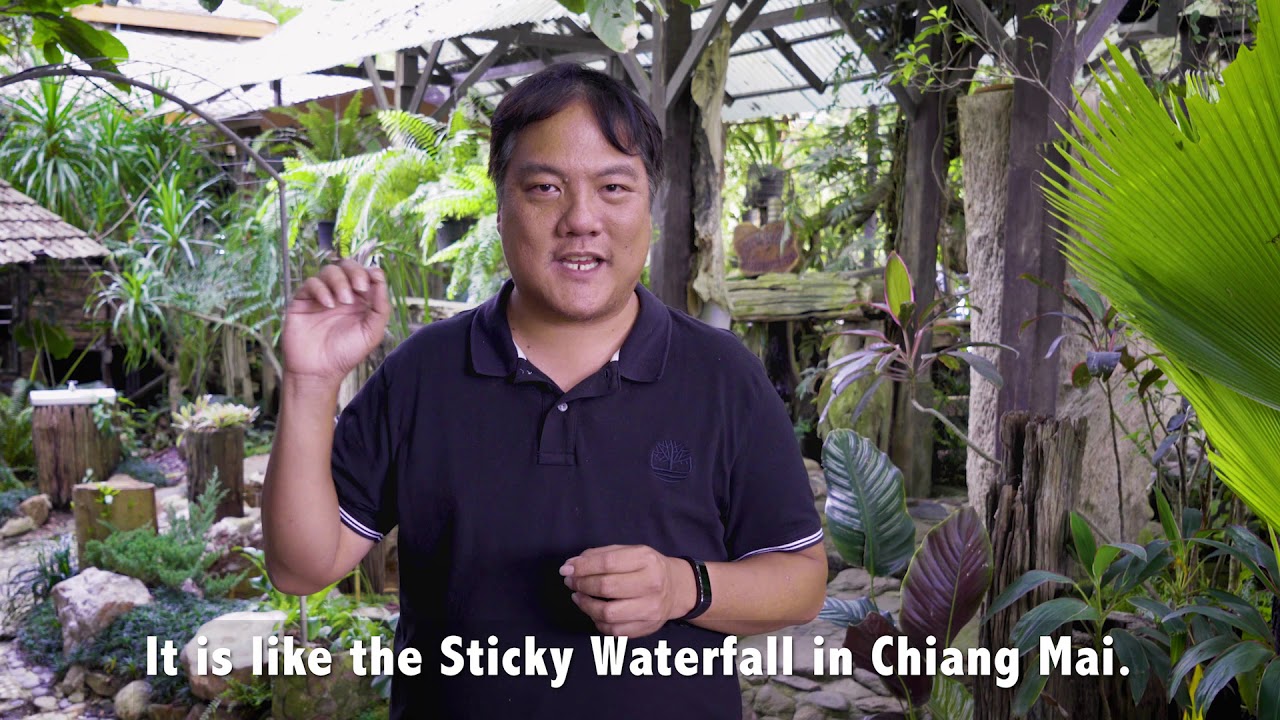 See Lampang Like Locals with TakeMeTour