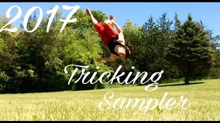 2017 Tricking Sampler