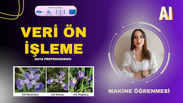 Veri Ön İşleme Nedir? | Iris Dataset ile Uygulamalı Python Eğitimi #colab #python