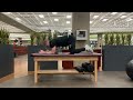 Thoracic rotation mobility