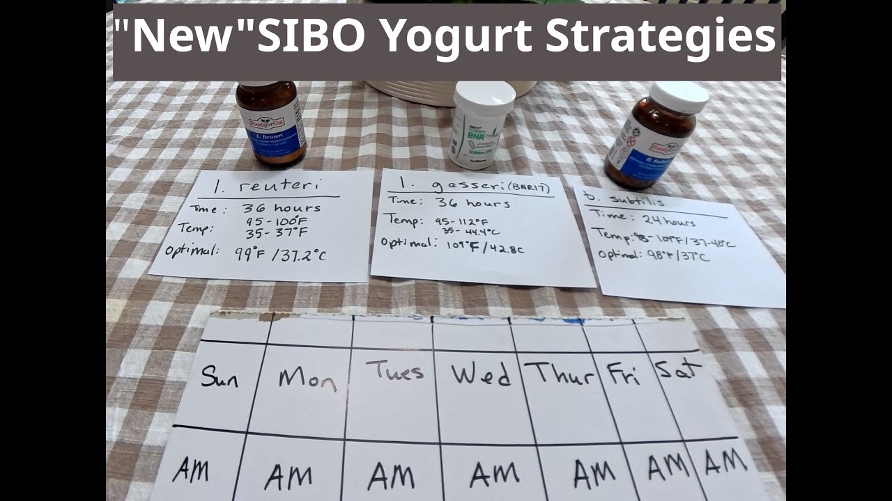 Новые стратегии лечения СИБР с помощью йогурта
