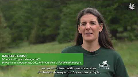 Introducing Bunchgrass Hills