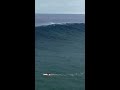 Jaws was hungry 🎥:tuckerwooding