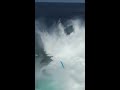 Jaws was hungry 🎥:tuckerwooding