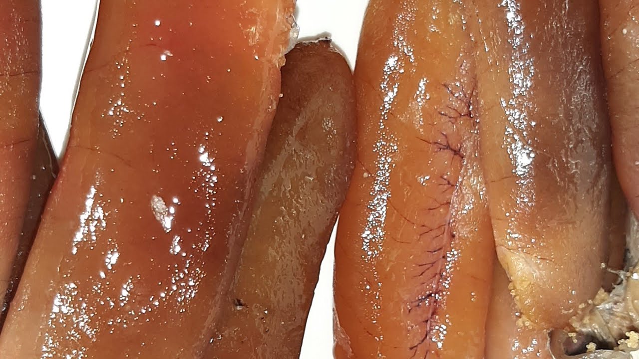 عنصر سري لنجاح تمليح   البطارخ  روووعه 💞💞💞