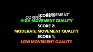 Bilateral Integration - Assessment