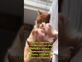 А ты смогла? #косметология #юмор #мем #прикол #уход