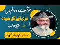 Khushboo Hai Do Alam Mein Teri Ae Gul E Cheedah Hafeez Taib English Translation In Description Khushboo Hai Do Alam Mein Teri Ae Gul E Cheedah Hafeez Taib English Translation In Description