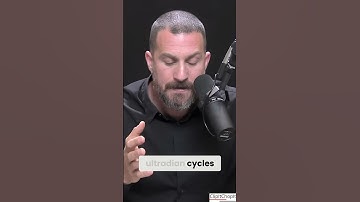 Unlock Focus: Master Your 90 Minute Work Cycle #huberman #focus #brainpower