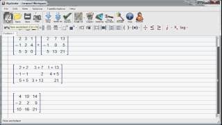 матрицы в программе Algebrator  сложение вычитание умножение screenshot 4