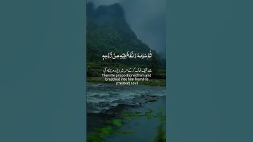 سورة السجدة بتلاوة خاشعة تريح القلب - ثُمَّ جَعَلَ نَسْلَهُ مِن سُلَالَةٍ مِّن مَّاءٍ مَّهِينٍ