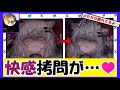 【アークナイツ】ひどい、一体誰がこんなことを…