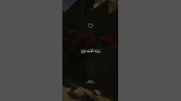 تلاوة هادئة جميلة بصوت القارئ الشيخ ماهر المعيقلي . #اكسبلور
