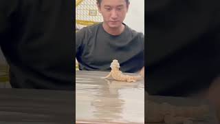 Training Bearded Dragons to Dance with Sophistication