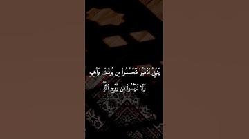 #عبدالله_الجهني (قَالَ إِنَّمَاۤ أَشۡكُواْ بَثِّی وَحُزۡنِیۤ إِلَى ٱللَّهِ ..) ||| تلاوة قديمة جدًا