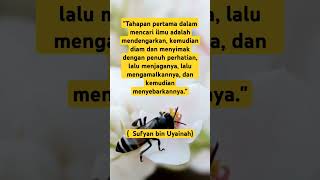 kata- kata Mutiara Islami ❗Dari Sahabat Nabi Tentang Mencari Ilmu untuk Motivasi Kita semua kata- kata Mutiara Islami ❗Dari Sahabat Nabi Tentang Mencari Ilmu untuk Motivasi Kita semua
