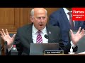 'We're Going To Lose Our Country!': Louie Gohmert Gives Fiery Speech During Hearing