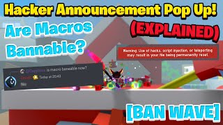 Hacker Announcement EXPLAINED (Ban Wave) | Bee Swarm Simulator 🐝