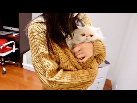 a-cat-wrapped-in-my-sister's-fluffy-cardigan-and-became-a-baby!
