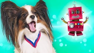 СПАСАТЕЛИ / ЮКИ и Сеня спасают Алису из компьютерной игры / Сериалити от ЮКИ 38 серия СПАСАТЕЛИ / ЮКИ и Сеня спасают Алису из компьютерной игры / Сериалити от ЮКИ 38 серия