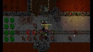 Tibia Botter Killed - Lucera, GRAN COMBO