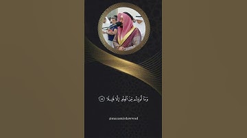 وَيَسْـَٔلُونَكَ عَنِ ٱلرُّوحِ ۖ || من سورة الإسراء 🤍✨|| القارئ أحمد النفيس 🤍✨