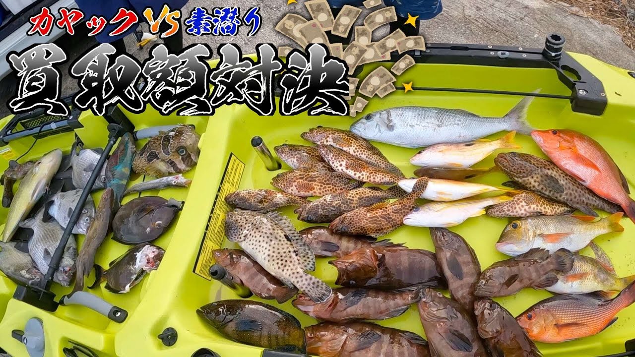 【後編】素潜り漁とカヤック釣りはどっちの方が稼げる！？