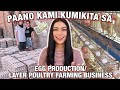 PAANO KAMI KUMIKITA SA EGG PRODUCTION/LAYER POULTRY FARM BUSINESS 💸 (PHILIPPINES) Tinmay Arcenas ❤️