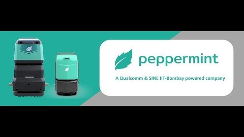 Peppermint Robots | QDIC