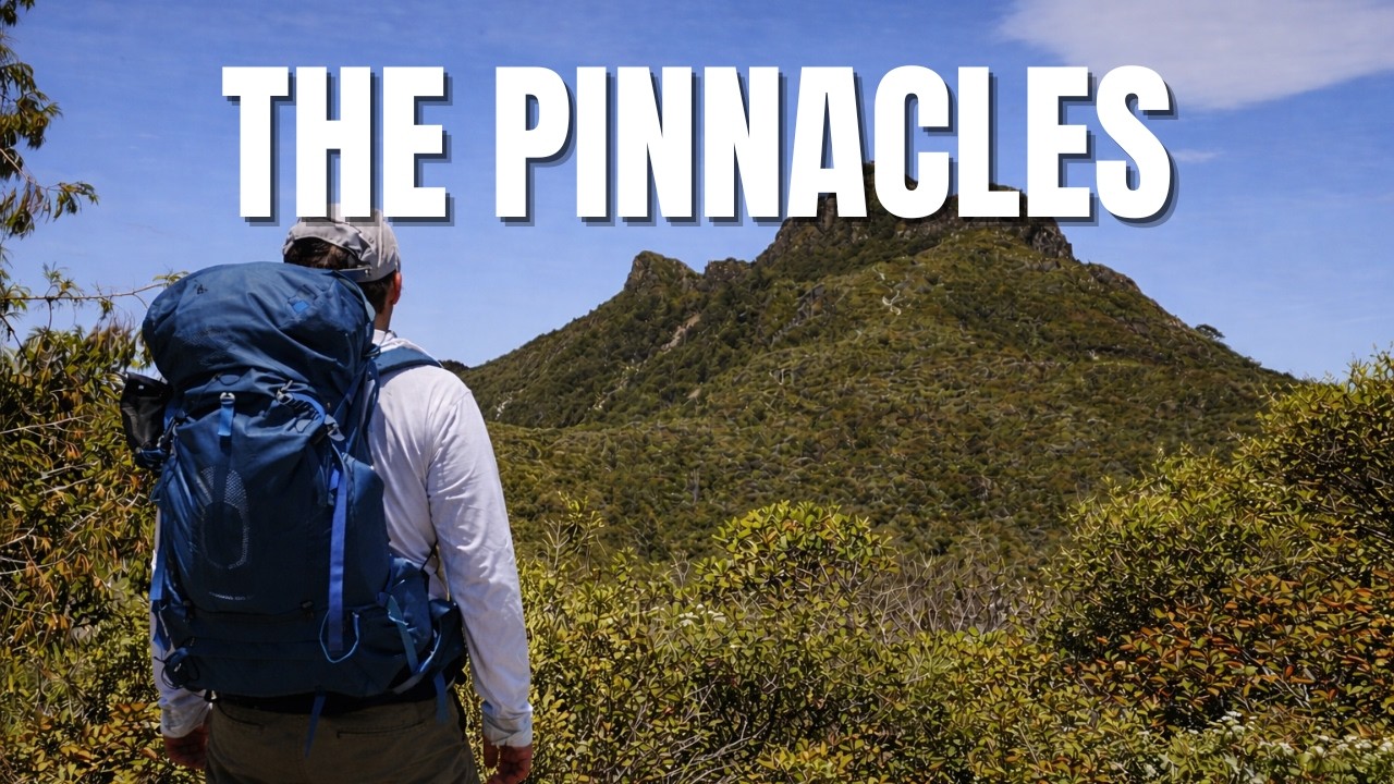 Overnight Hike to THE PINNACLES I Kauaeranga Kauri Trail | Coromandel