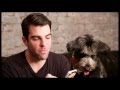 Zachary Quinto - Side by Side with Susan Blackwell (131225)