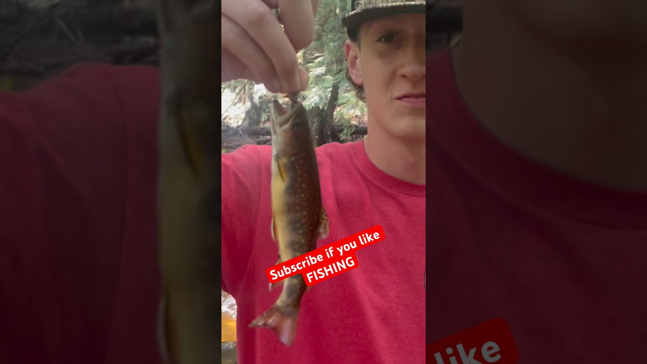 Fast Water TROUT 💥💥 