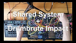 Make Noise Shared System + Arturia Drumbrute Impact --- Live Modular Synth Jam