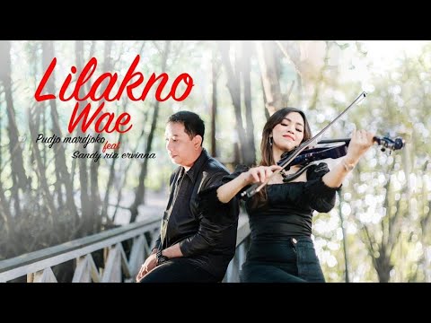 Video Lilakno Wae