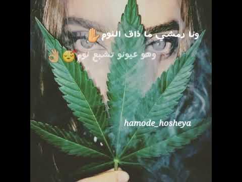 وأنا رمشى مضاق النوم وهو عيونه تشبع نوووم