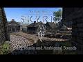 Riften in Daylight 🍂 Changing Skies & Town Ambience | Skyrim
