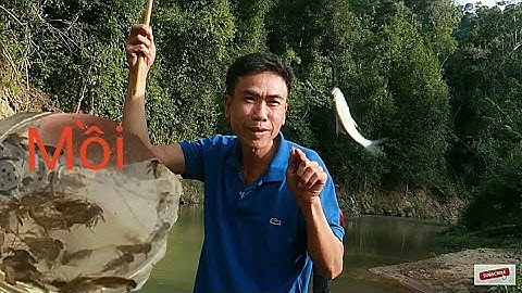 Câu cá Suối Tây Bắc Độc Lạ Từ Cách kiếm Mồi  và Loài cá | Hành Trình Sông Mã - Mường Lạn ( Tập 3 )